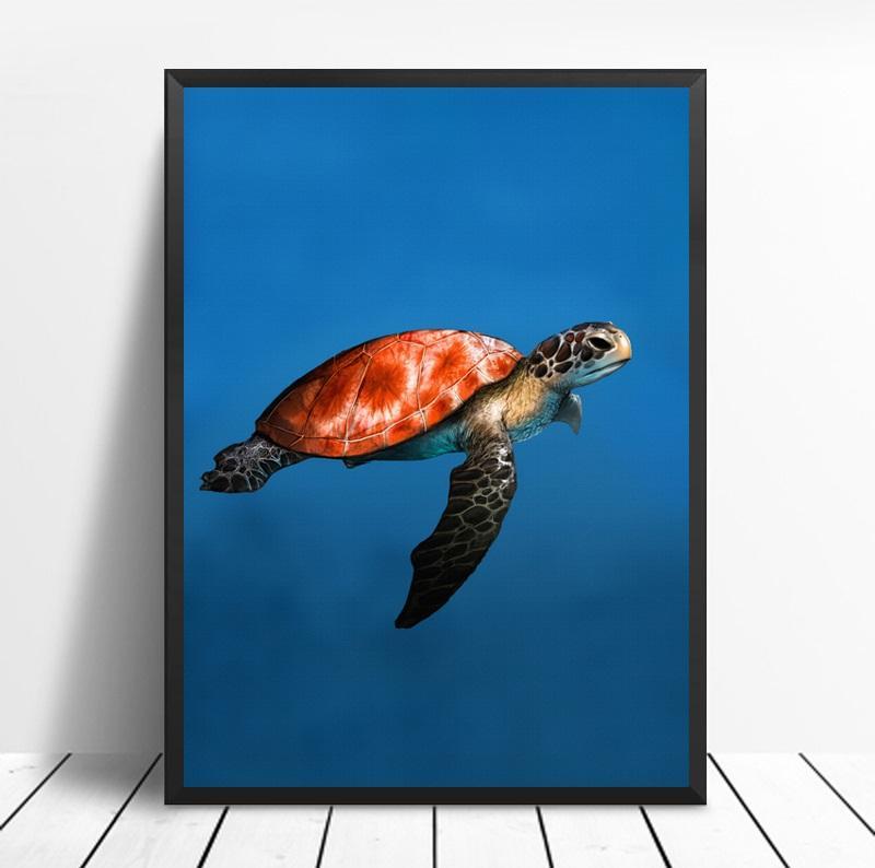 Sea Turtle | Canvas Art - Science Factory Shop