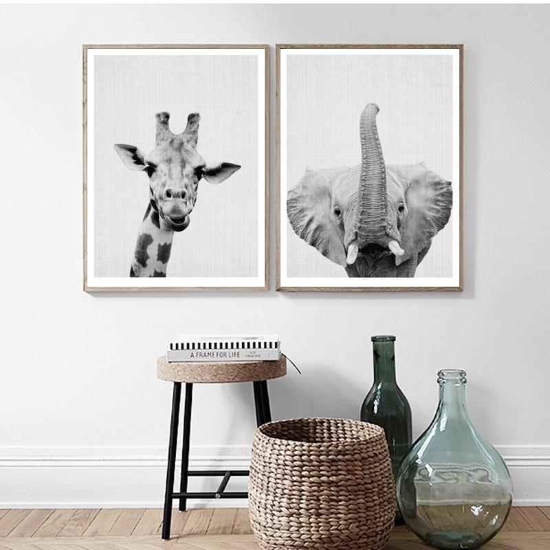 Animals Black and White Photo | Canvas Art - Science Factory Shop