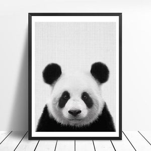 Animals Black and White Photo | Canvas Art - Science Factory Shop