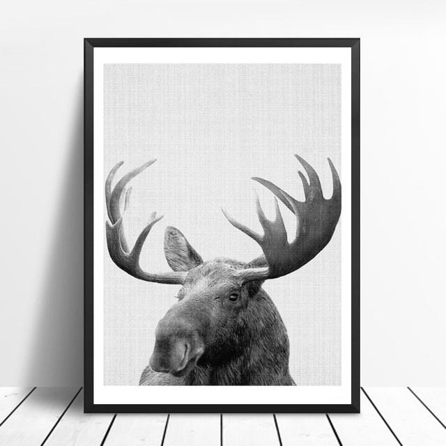 Animals Black and White Photo | Canvas Art - Science Factory Shop