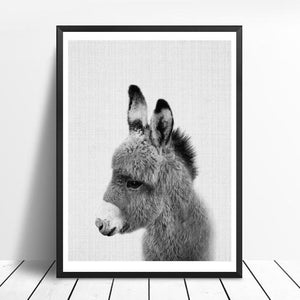 Animals Black and White Photo | Canvas Art - Science Factory Shop