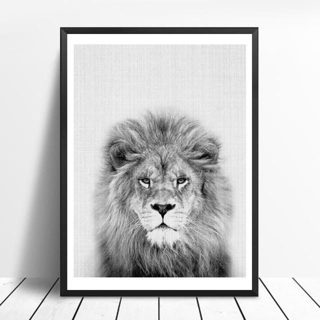 Animals Black and White Photo | Canvas Art - Science Factory Shop