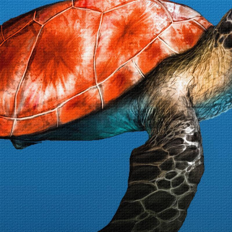 Sea Turtle | Canvas Art - Science Factory Shop