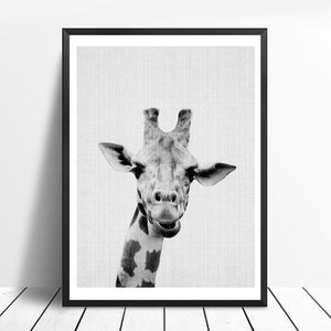 Animals Black and White Photo | Canvas Art - Science Factory Shop