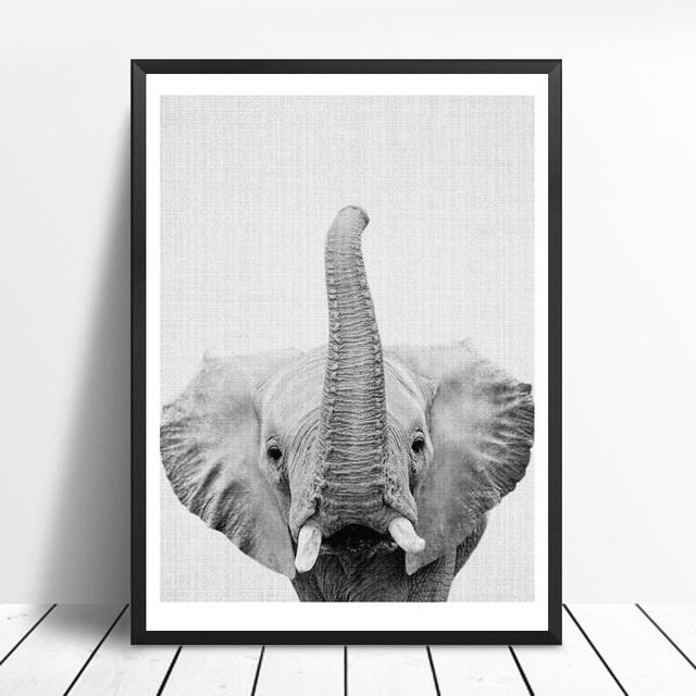 Animals Black and White Photo | Canvas Art - Science Factory Shop