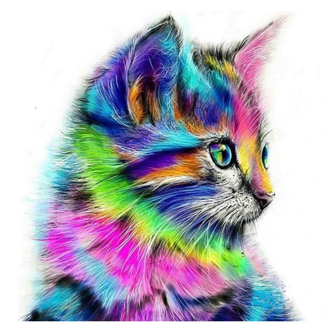 Colorful Cat | Number Painting - Science Factory Shop