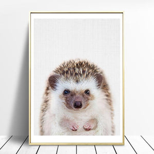 Hedgehog and Koala | Canvas Art - Science Factory Shop