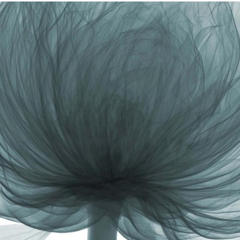 Flower | Canvas Art - Science Factory Shop