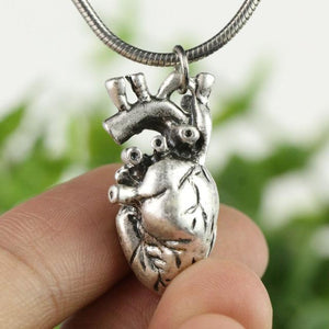 Anatomical Heart Necklace - Science Factory Shop