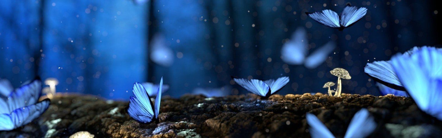 For Nature Lovers