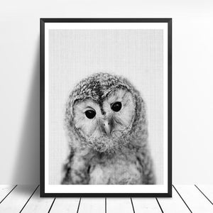 Animals Black and White Photo | Canvas Art - Science Factory Shop