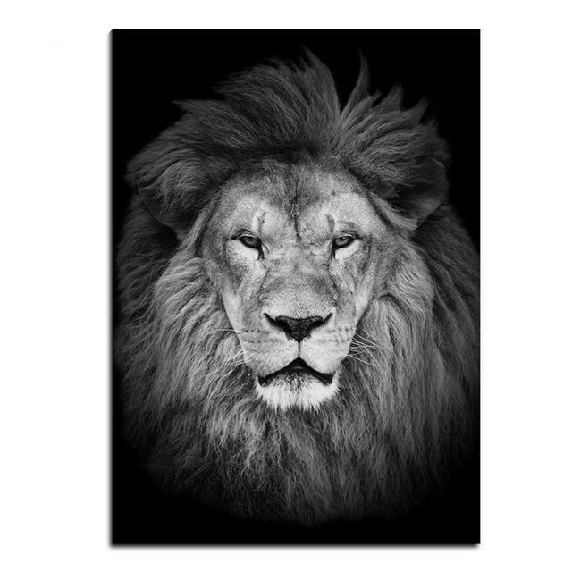 Wildlife Animals (2) Photography | Canvas Art - Science Factory Shop