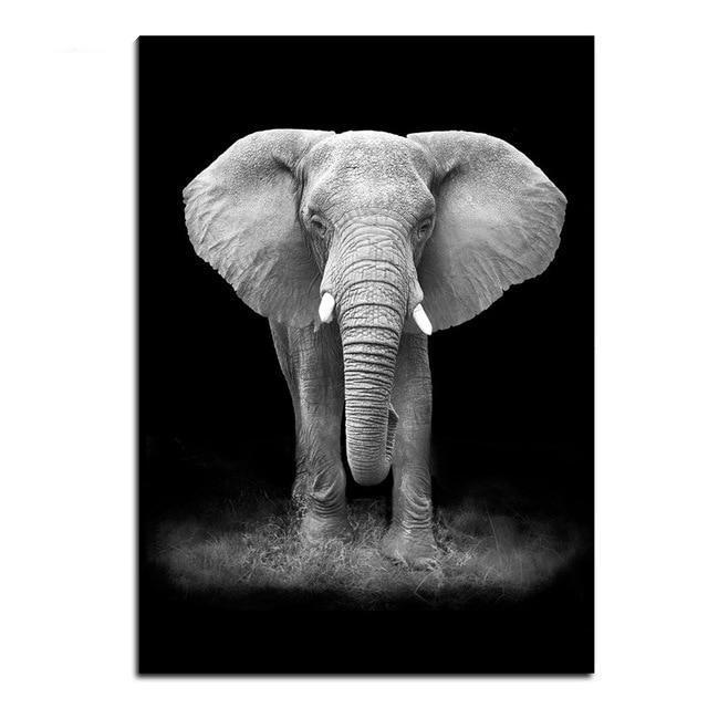 Wildlife Animals (1) Photography | Canvas Art - Science Factory Shop