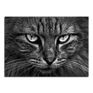 Wildlife Animals (1) Photography | Canvas Art - Science Factory Shop