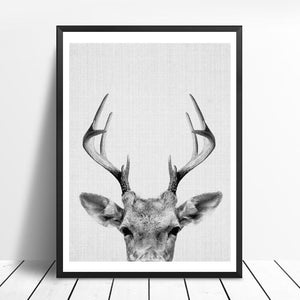 Animals Black and White Photo | Canvas Art - Science Factory Shop