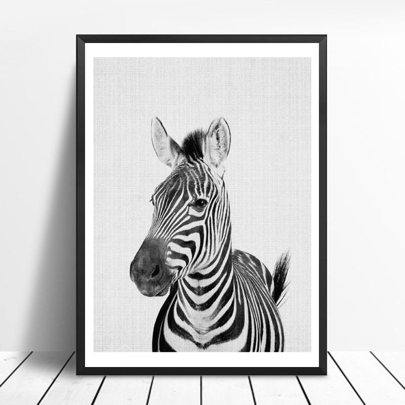 Animals Black and White Photo | Canvas Art - Science Factory Shop