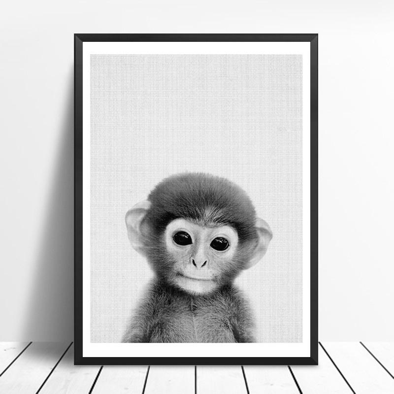 Animals Black and White Photo | Canvas Art - Science Factory Shop