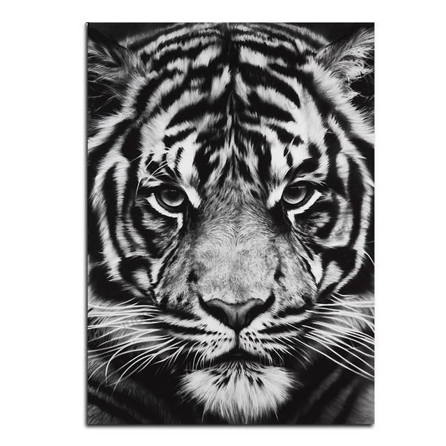 Wildlife Animals (2) Photography | Canvas Art - Science Factory Shop