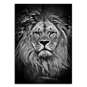 Wildlife Animals (2) Photography | Canvas Art - Science Factory Shop