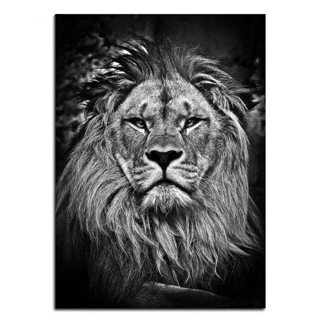 Wildlife Animals (2) Photography | Canvas Art - Science Factory Shop