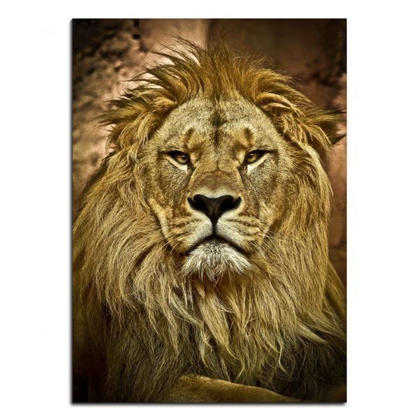 Wildlife Animals (2) Photography | Canvas Art - Science Factory Shop