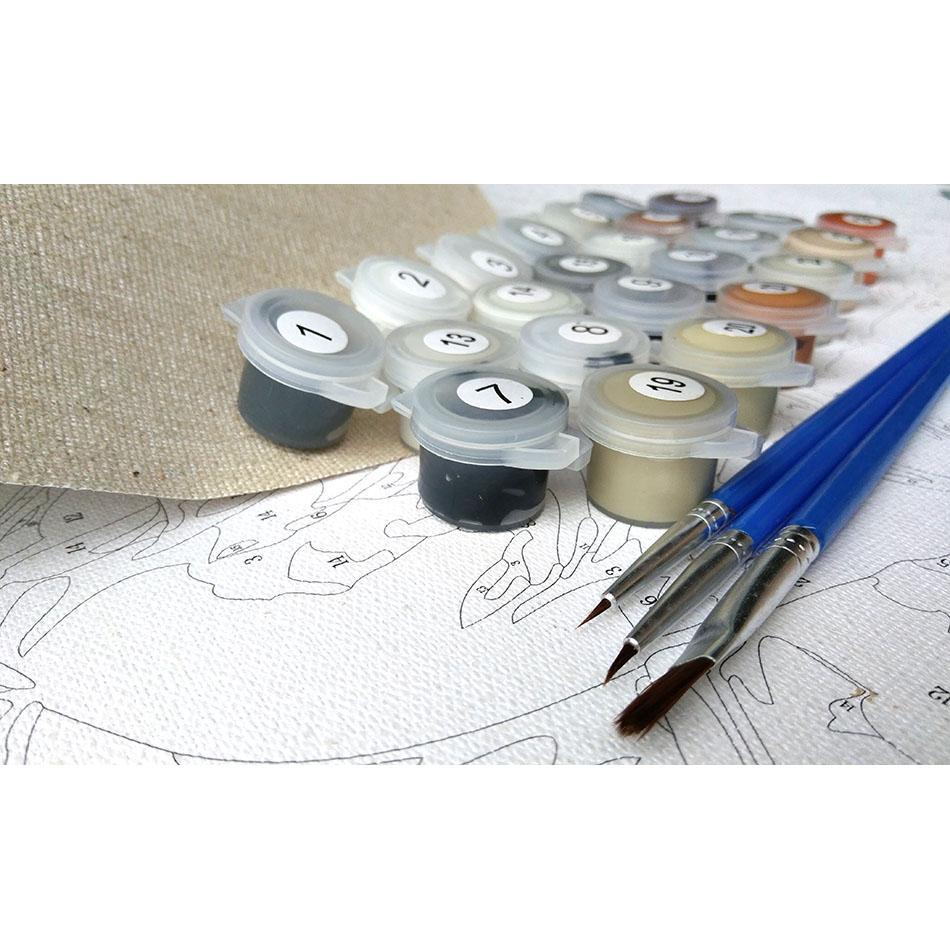 Rainbow Lion | Number Painting - Science Factory Shop