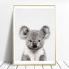 Hedgehog and Koala | Canvas Art - Science Factory Shop