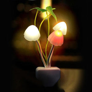 Mushroom Night Light | Sustainable Lighting - Science Factory Shop