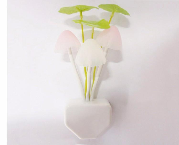 Mushroom Night Light | Sustainable Lighting - Science Factory Shop