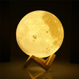 Moon Nightlight | Lighting - Science Factory Shop