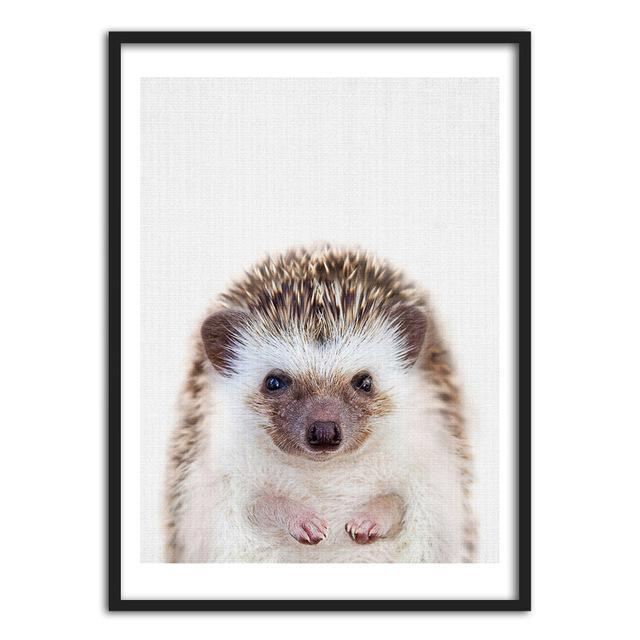 Hedgehog and Koala | Canvas Art - Science Factory Shop